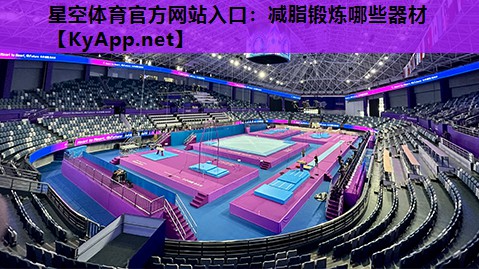 星空体育官方网站入口：减脂锻炼哪些器材